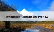 湖州交通违章（湖州交通违章举报有奖）
