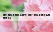 限行的车上路怎么处罚（限行的车上路怎么处罚罚款）
