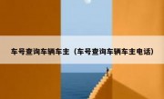 车号查询车辆车主（车号查询车辆车主电话） 