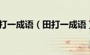 田打一成语（田打一成语）