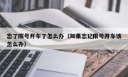 忘了限号开车了怎么办（如果忘记限号开车该怎么办） 