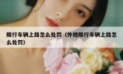 限行车辆上路怎么处罚（外地限行车辆上路怎么处罚） 