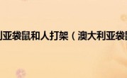 澳大利亚袋鼠和人打架（澳大利亚袋鼠）
