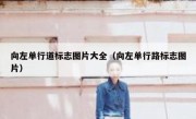 向左单行道标志图片大全（向左单行路标志图片） 