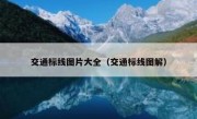 交通标线图片大全（交通标线图解） 