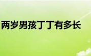 两岁男孩丁丁有多长