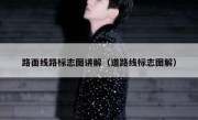 路面线路标志图讲解（道路线标志图解） 