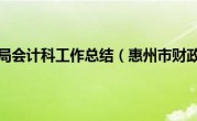 惠州市财政局会计科工作总结（惠州市财政局官网）
