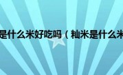 籼米是什么米好吃吗（籼米是什么米）