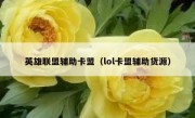 英雄联盟辅助卡盟（lol卡盟辅助货源） 