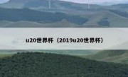 u20世界杯（2019u20世界杯） 