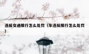 违反交通限行怎么处罚（车违反限行怎么处罚）