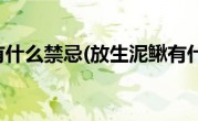 放生泥鳅有什么禁忌(放生泥鳅有什么好处)