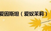 爱因斯坦（爱奴茉莉）