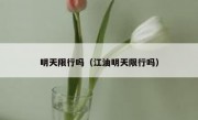 明天限行吗（江油明天限行吗） 