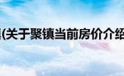 聚镇(关于聚镇当前房价介绍) 