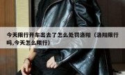 今天限行开车出去了怎么处罚洛阳（洛阳限行吗,今天怎么限行） 