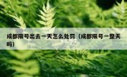 成都限号出去一天怎么处罚（成都限号一整天吗） 