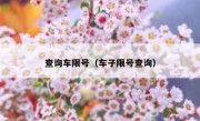 查询车限号（车子限号查询） 