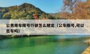公务用车限号行驶怎么规定（公车限号,可以出车吗） - 高通咨询