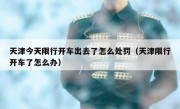 天津今天限行开车出去了怎么处罚（天津限行开车了怎么办） 