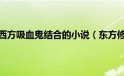 东方修真与西方吸血鬼结合的小说（东方修道文库）