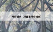 限行城市（陕西省限行城市） 
