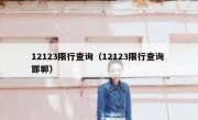 12123限行查询（12123限行查询 邯郸） 
