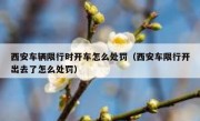 西安车辆限行时开车怎么处罚（西安车限行开出去了怎么处罚）