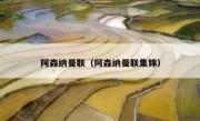 阿森纳曼联（阿森纳曼联集锦） 