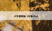 cf卡盟网站（卡盟cfm） 