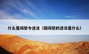 什么是闯禁令违法（因闯禁的违法是什么）