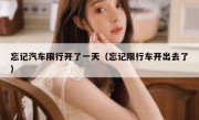 忘记汽车限行开了一天（忘记限行车开出去了）