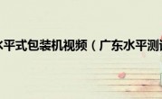 广东水平式包装机视频（广东水平测试）