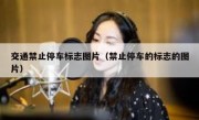 交通禁止停车标志图片（禁止停车的标志的图片） 