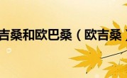 欧吉桑和欧巴桑（欧吉桑）