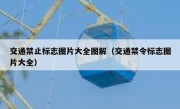 交通禁止标志图片大全图解（交通禁令标志图片大全） 