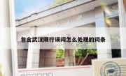 包含武汉限行误闯怎么处理的词条 