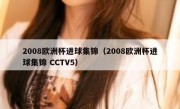 2008欧洲杯进球集锦（2008欧洲杯进球集锦 CCTV5） 