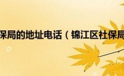 锦江区社保局的地址电话（锦江区社保局地址）