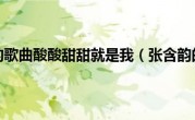 张含韵的歌曲酸酸甜甜就是我（张含韵的歌）