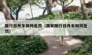 限行日开车如何处罚（西安限行日开车如何处罚） 