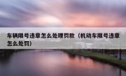 车辆限号违章怎么处理罚款（机动车限号违章怎么处罚） 