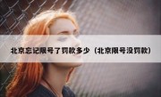 北京忘记限号了罚款多少（北京限号没罚款）