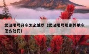 武汉限号开车怎么处罚（武汉限号规则外地车怎么处罚） 