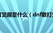 dnf散打觉醒是什么（dnf散打觉醒）