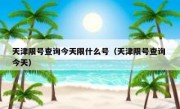 天津限号查询今天限什么号（天津限号查询 今天） 