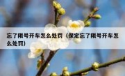 忘了限号开车怎么处罚（保定忘了限号开车怎么处罚） 