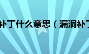 漏洞补丁什么意思（漏洞补丁）