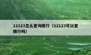 12123怎么查询限行（12123可以查限行吗） 